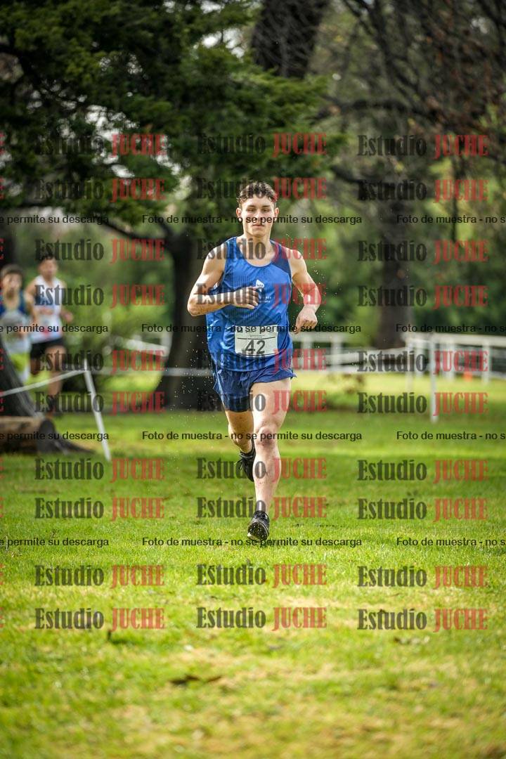 Fotos en el circuito