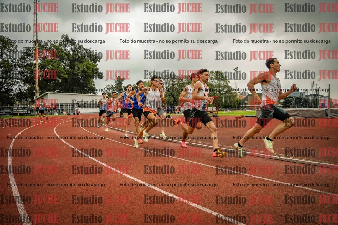 Fotos de los 800 m llanos de varones