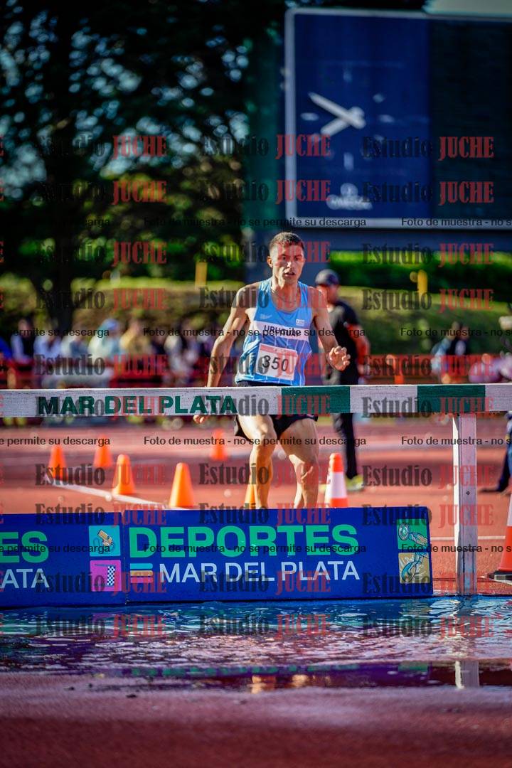 Fotos de los 3000 m con obstáculos de varones