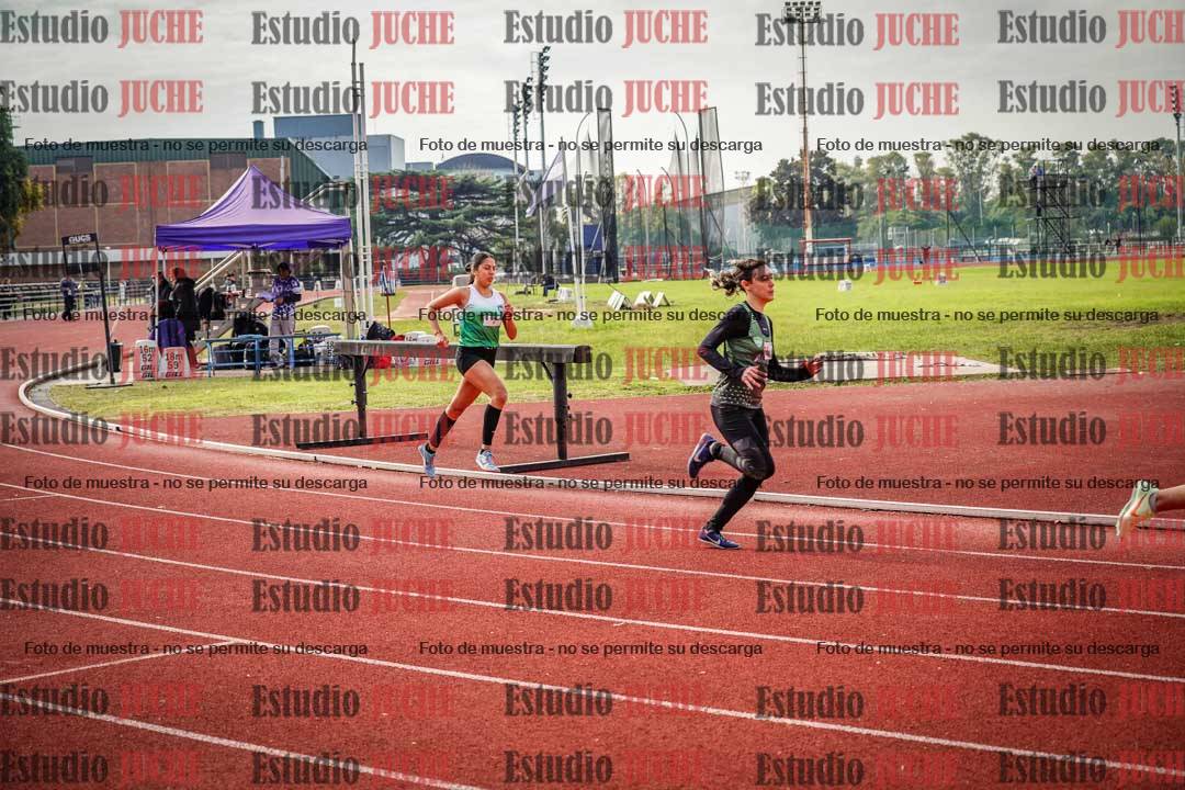 Fotos de los 800 m llanos de mujeres