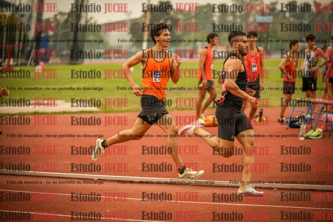Fotos de los 800 m llanos de varones