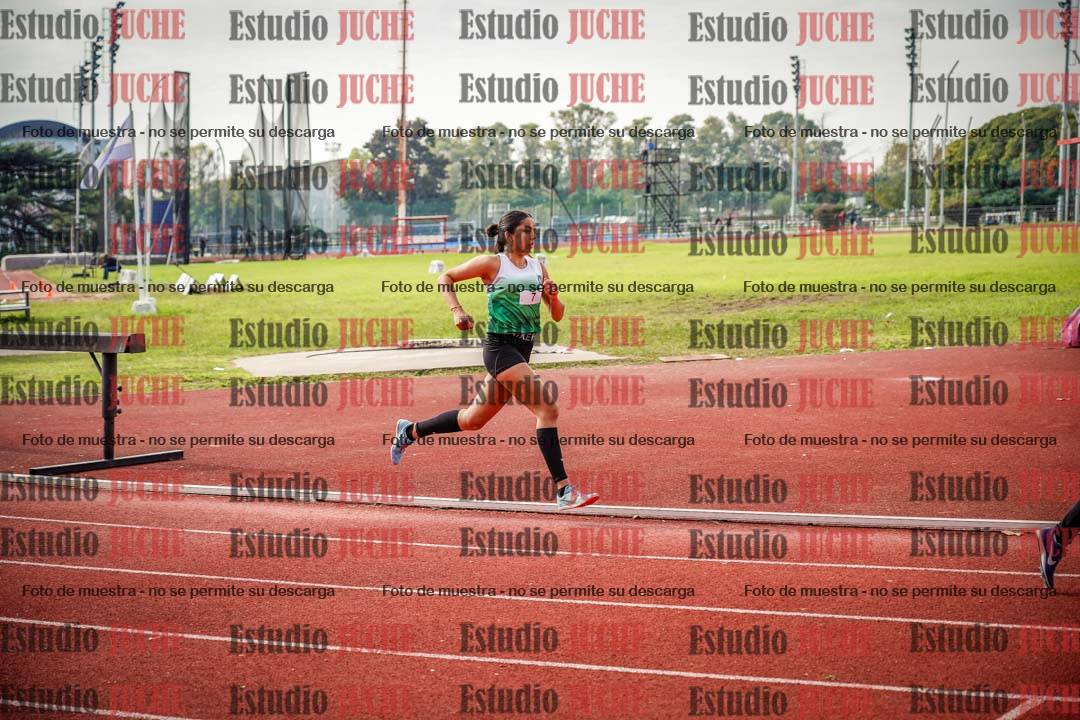 Fotos de los 800 m llanos de mujeres