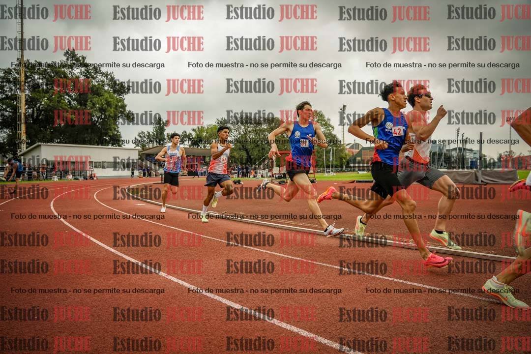 Fotos de los 800 m llanos de varones