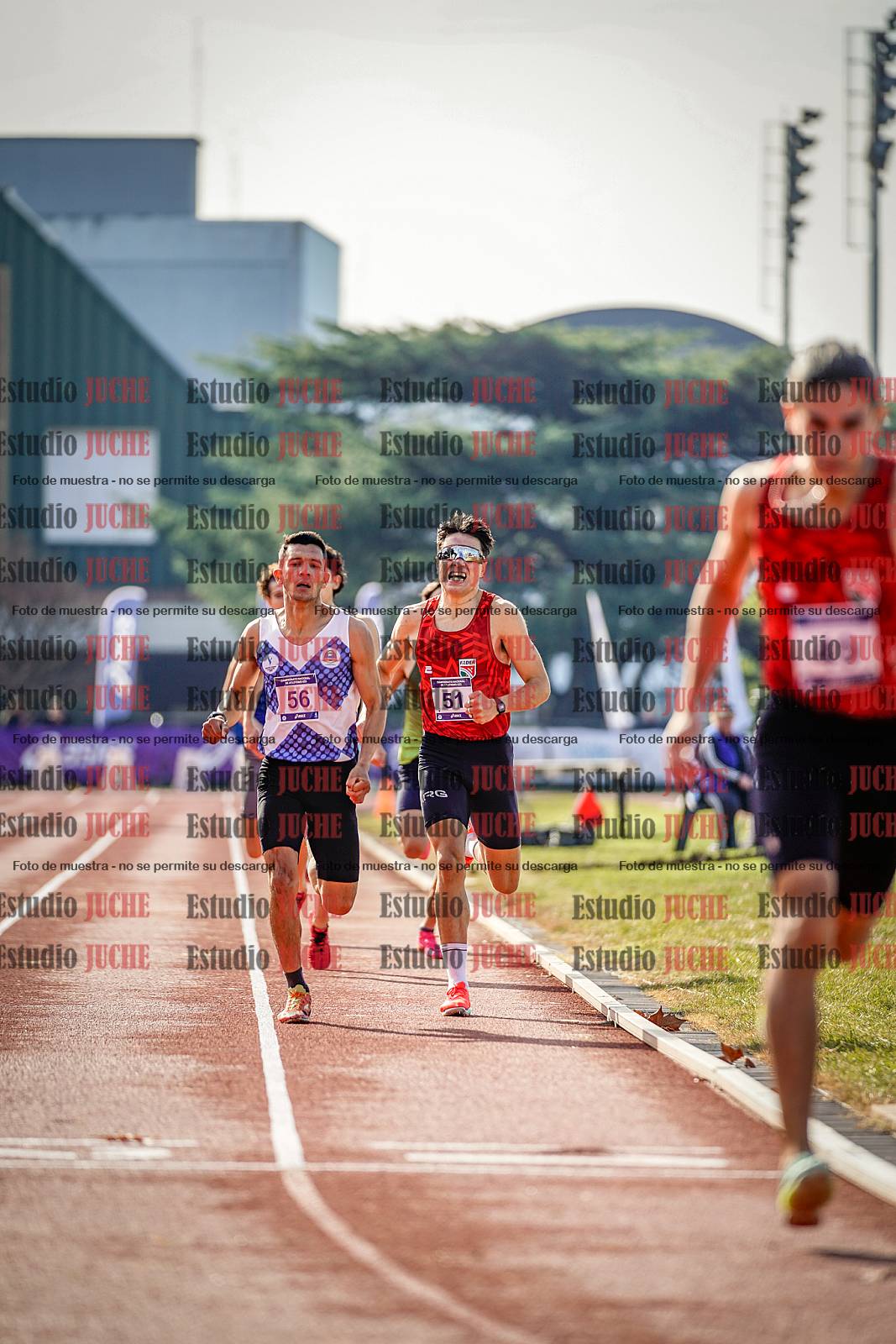 Fotos de los 800 m de varones