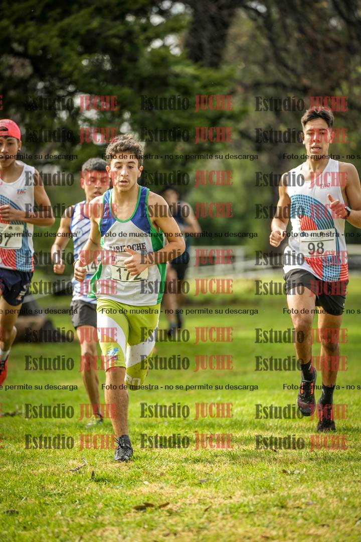 Fotos en el circuito