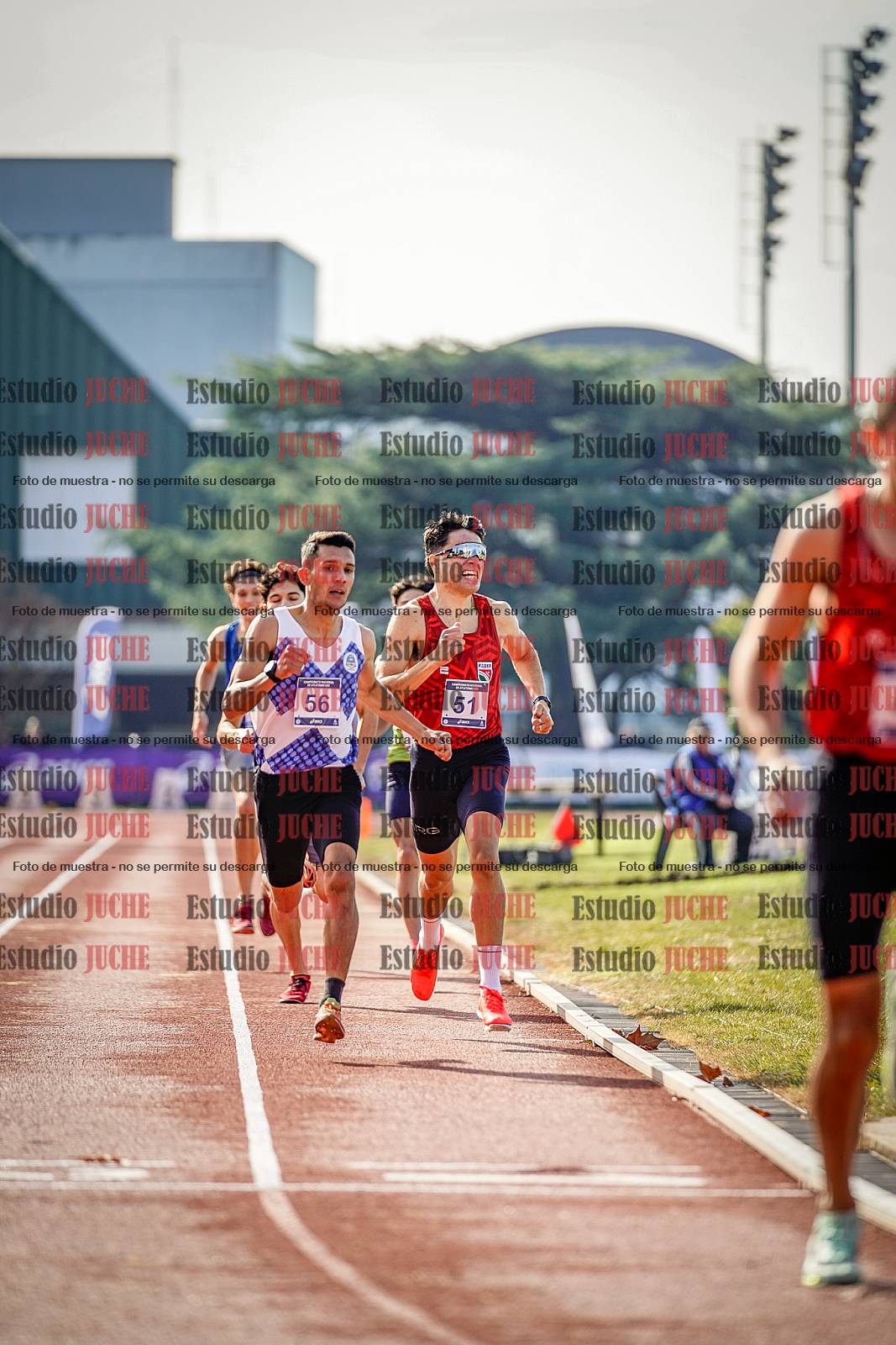 Fotos de los 800 m de varones
