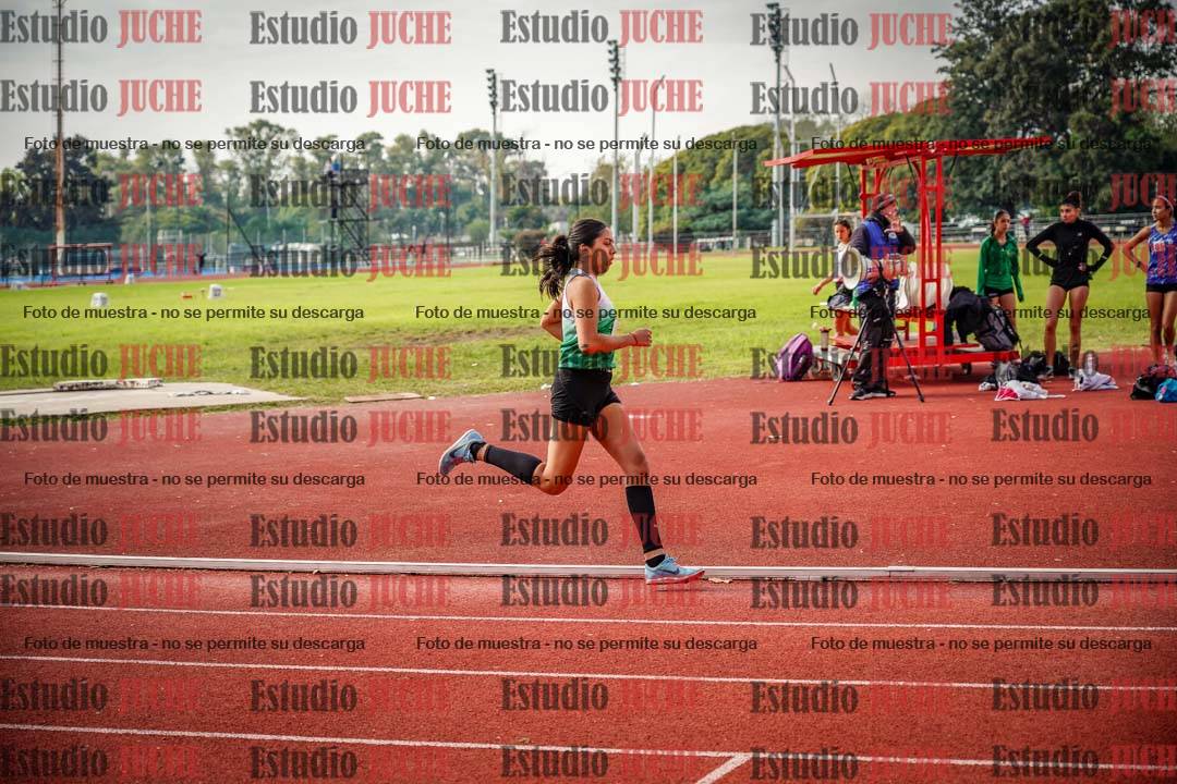 Fotos de los 800 m llanos de mujeres