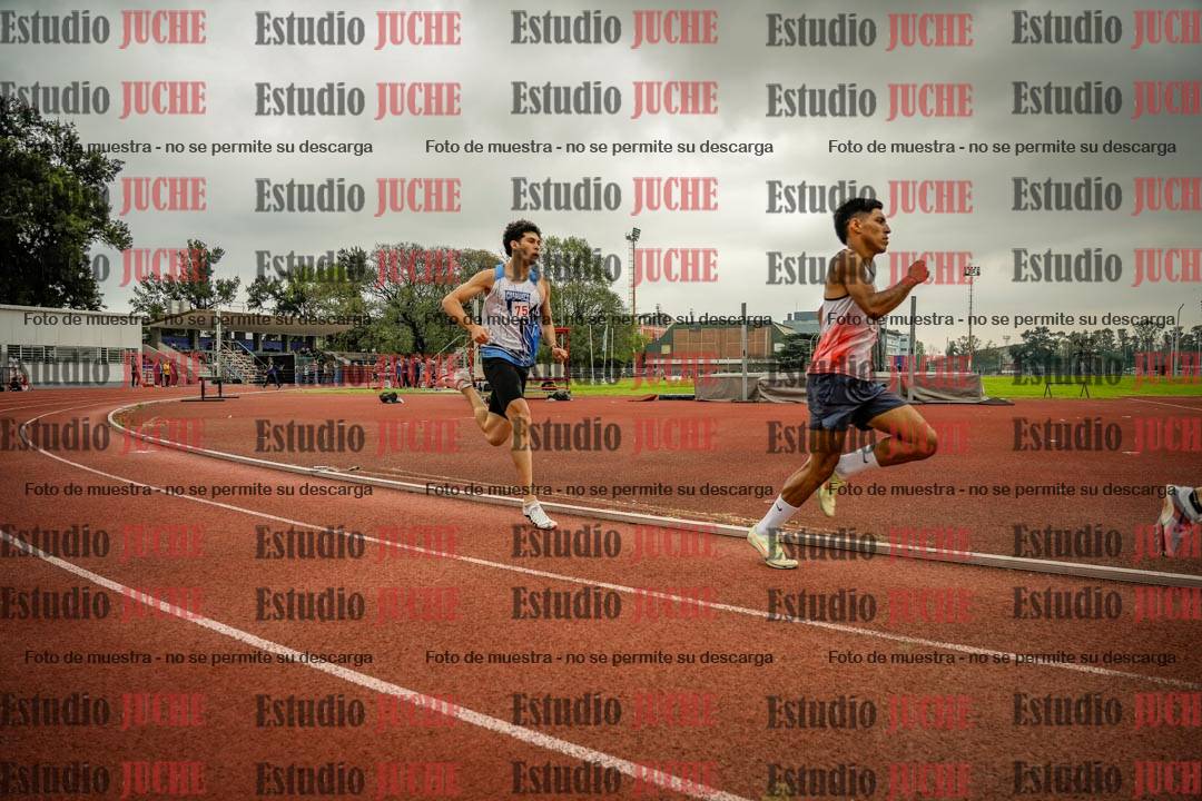 Fotos de los 800 m llanos de varones