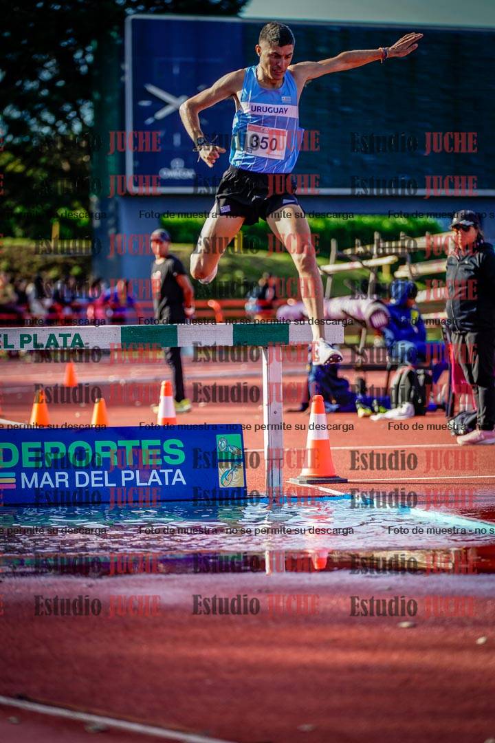 Fotos de los 3000 m con obstáculos de varones