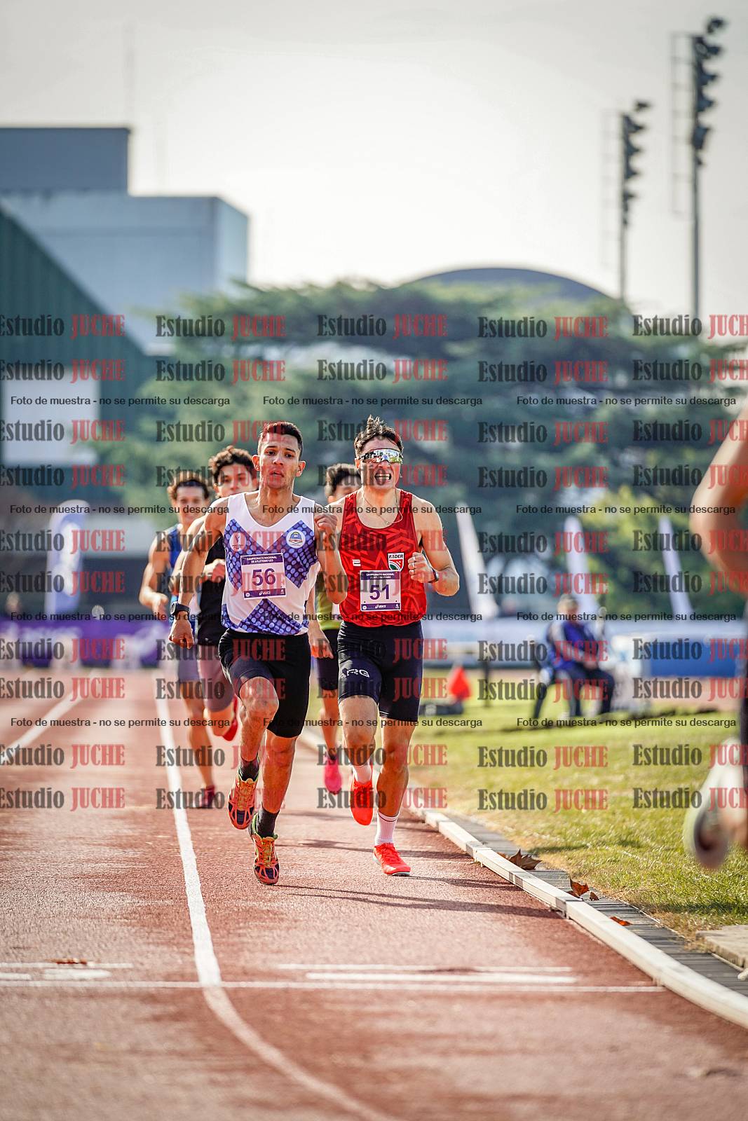 Fotos de los 800 m de varones