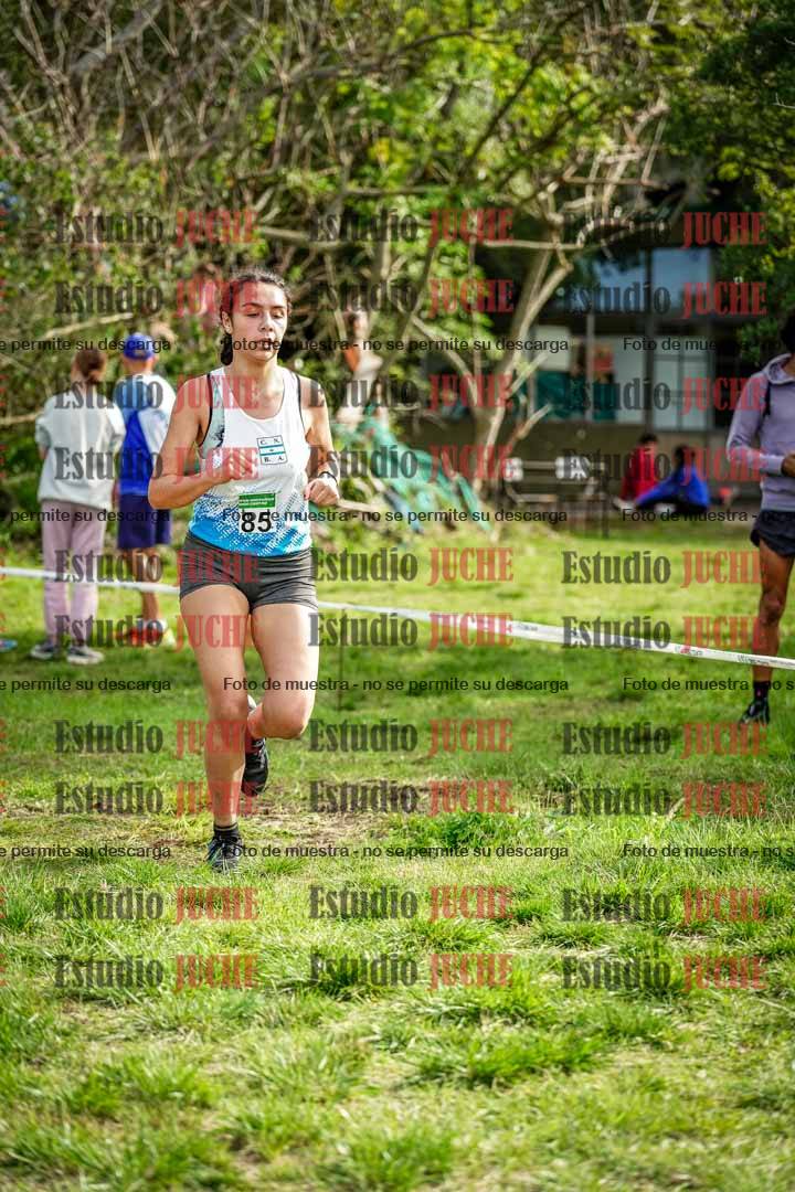 Fotos en el circuito