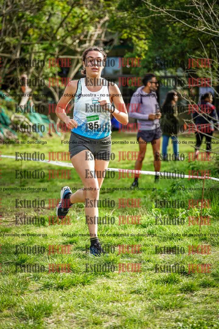 Fotos en el circuito