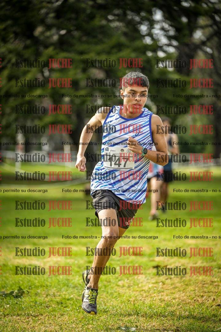 Fotos en el circuito