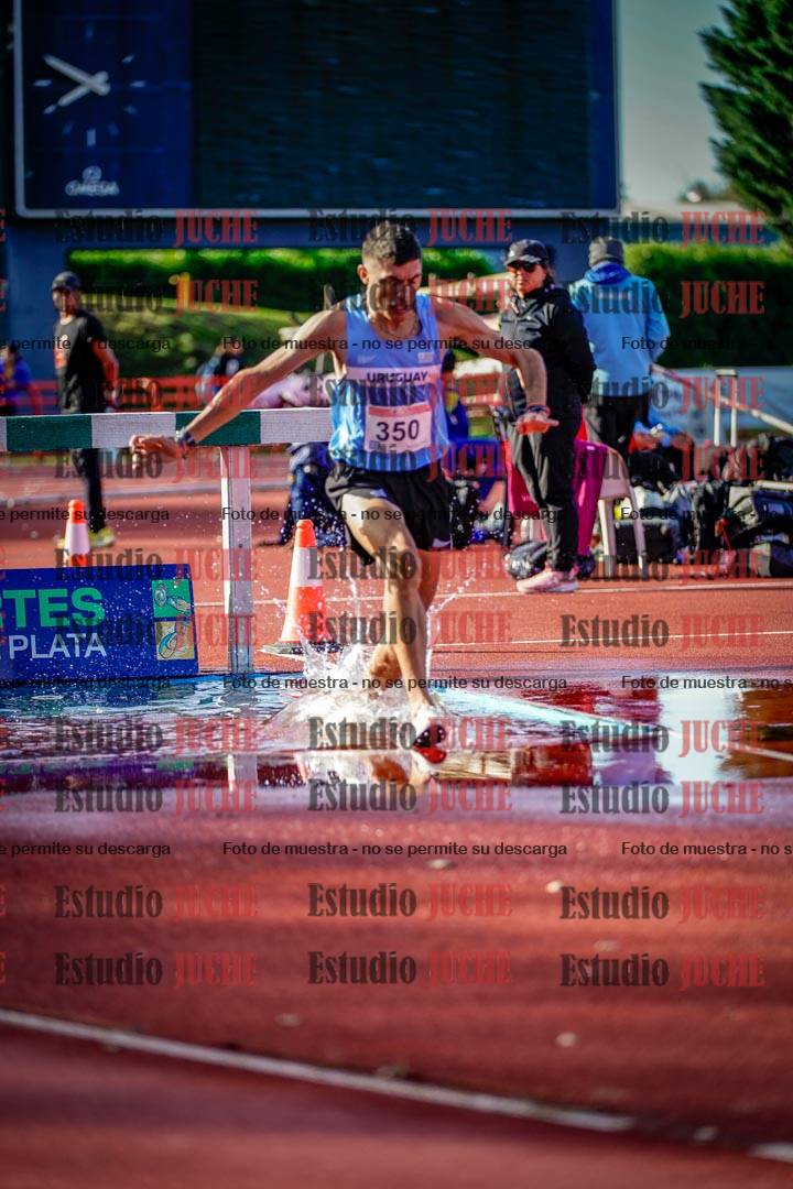 Fotos de los 3000 m con obstáculos de varones