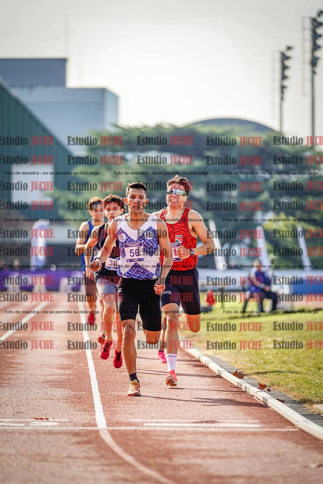 Fotos de los 800 m de varones
