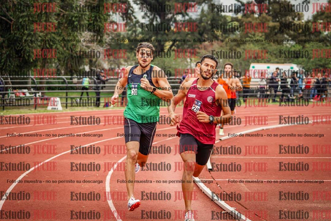 Fotos de los 800 m llanos de varones