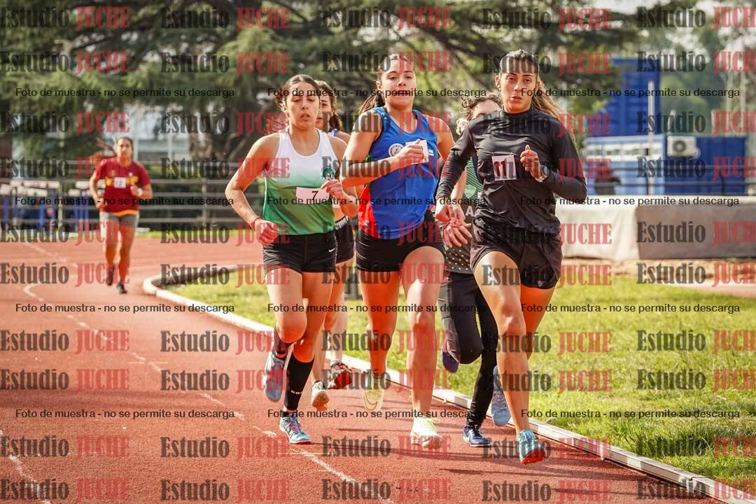 Fotos de los 800 m llanos de mujeres