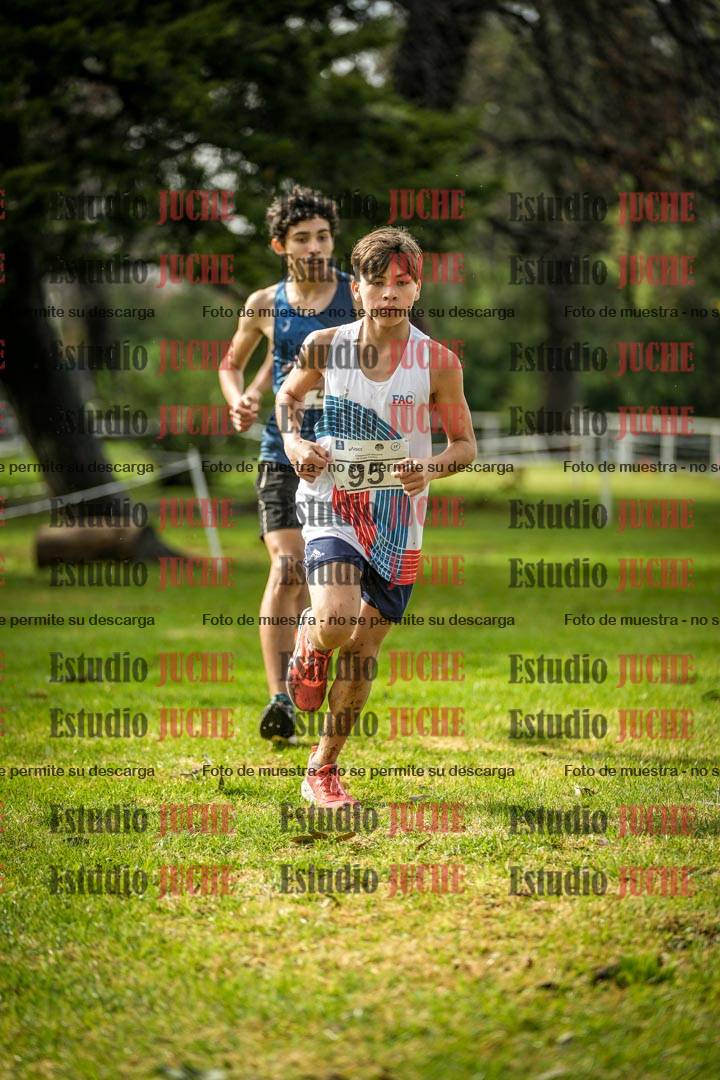 Fotos en el circuito