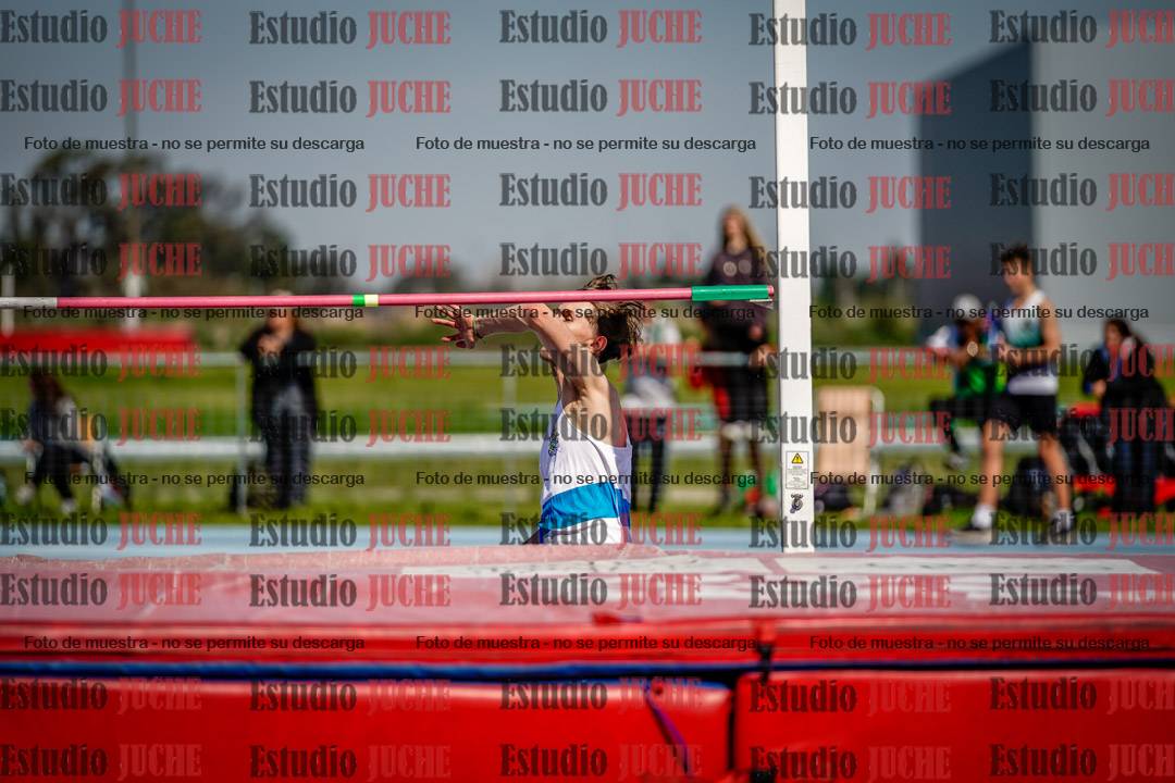 Fotos del salto en alto de varones