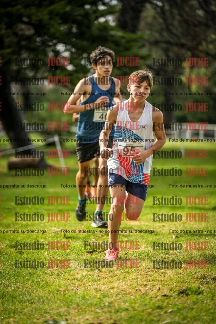 Fotos en el circuito