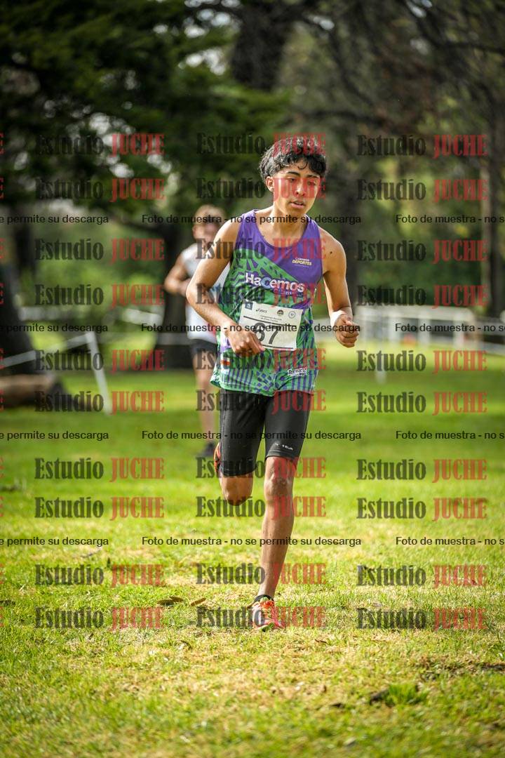 Fotos en el circuito