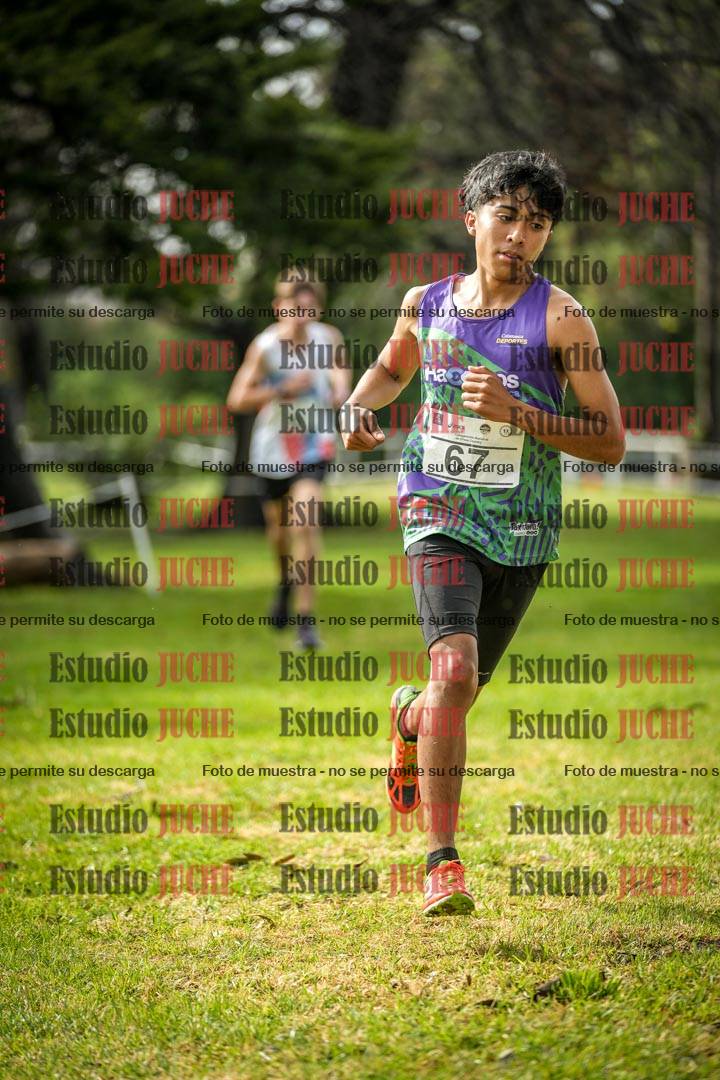 Fotos en el circuito