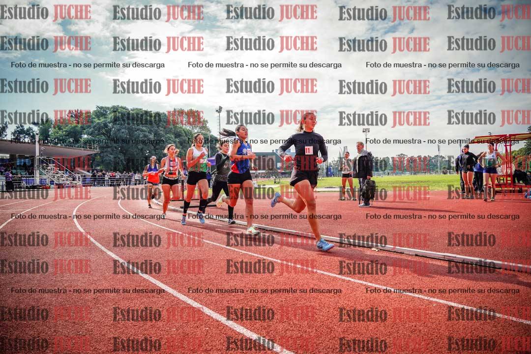 Fotos de los 800 m llanos de mujeres