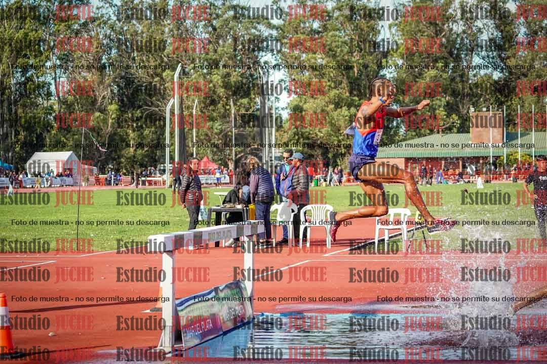 Fotos de los 3000 m con obstáculos de varones