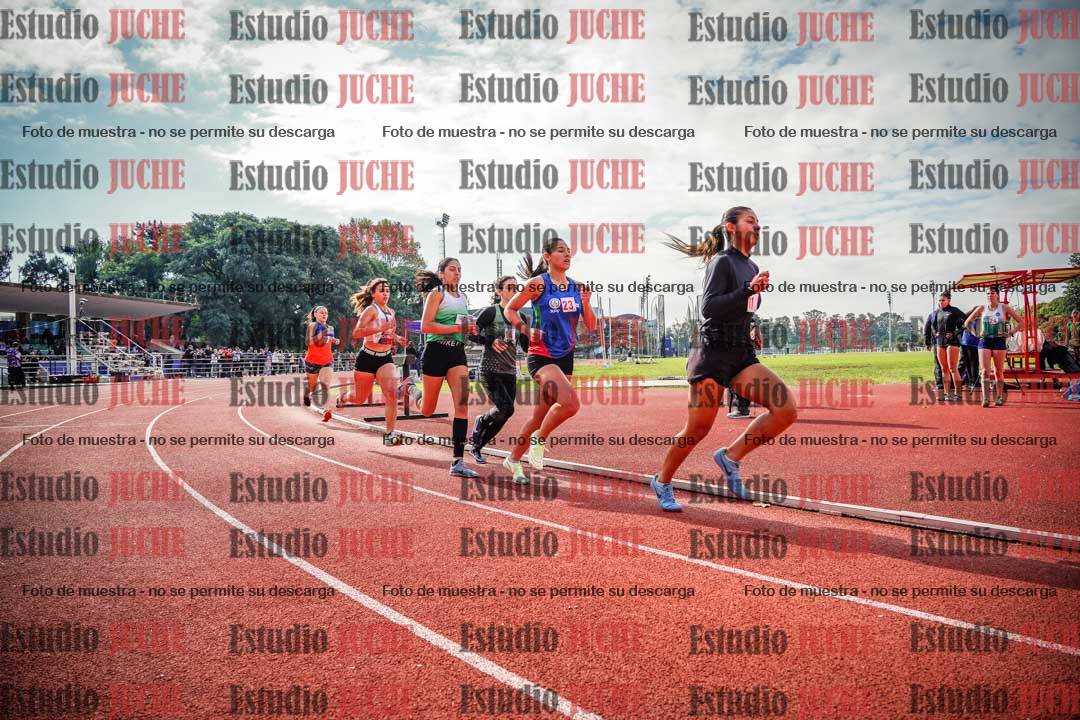 Fotos de los 800 m llanos de mujeres