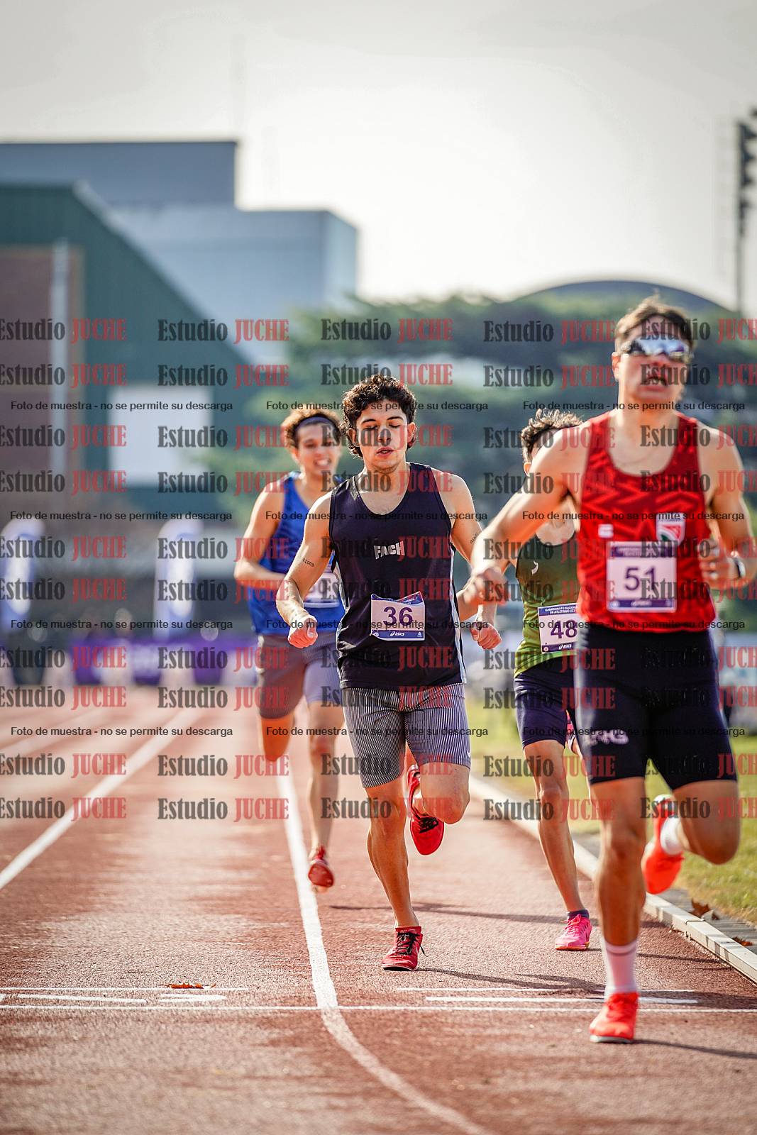 Fotos de los 800 m de varones