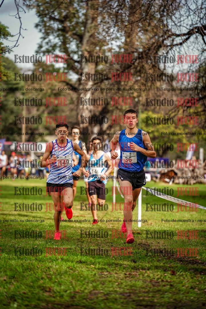 Fotos en el circuito