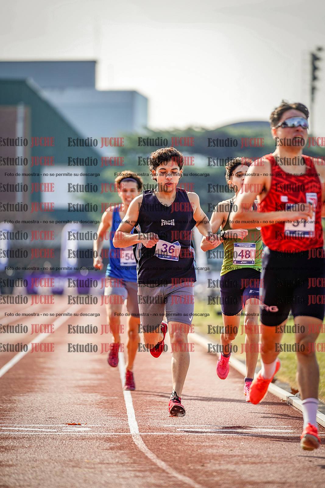 Fotos de los 800 m de varones