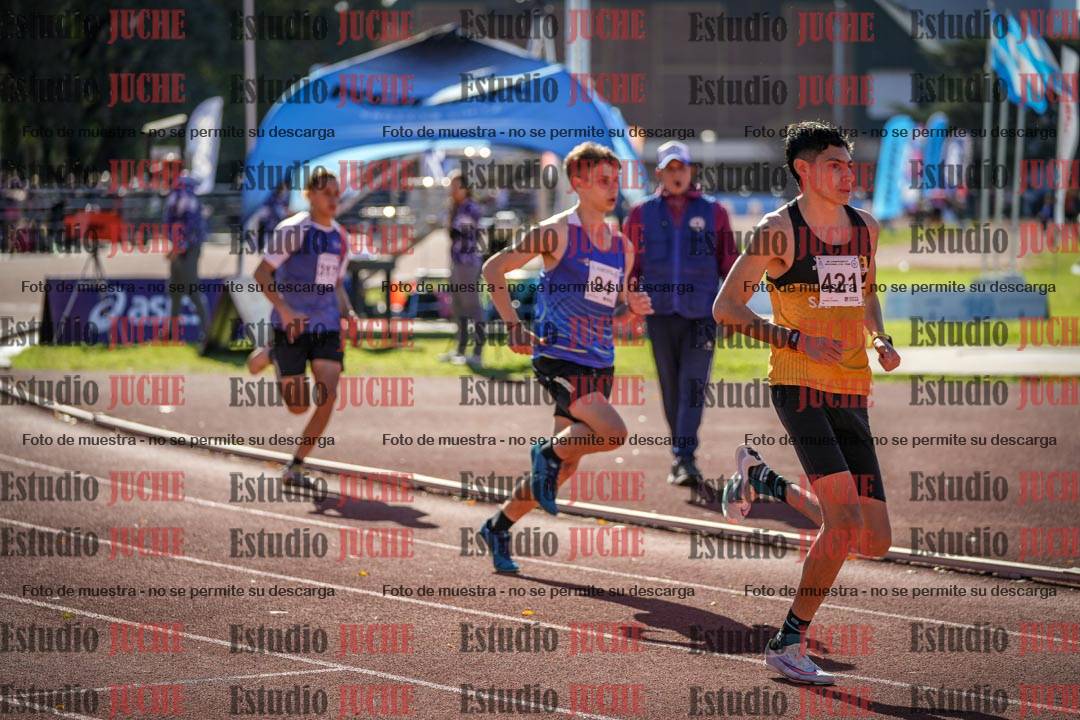 Fotos de los 800 m llanos de varones