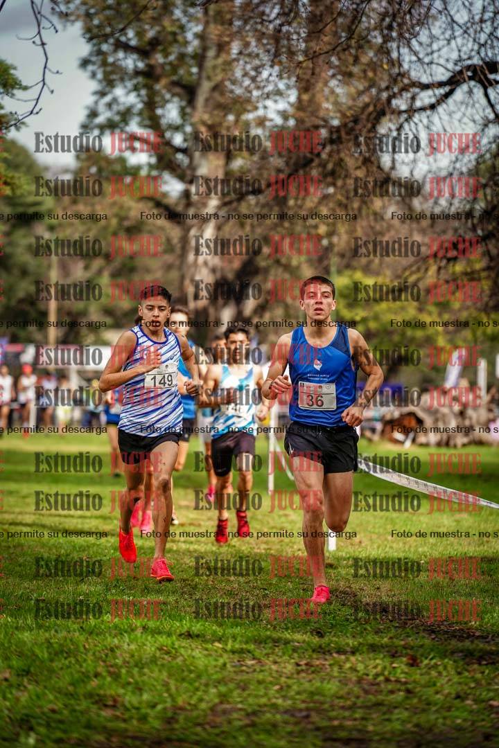 Fotos en el circuito