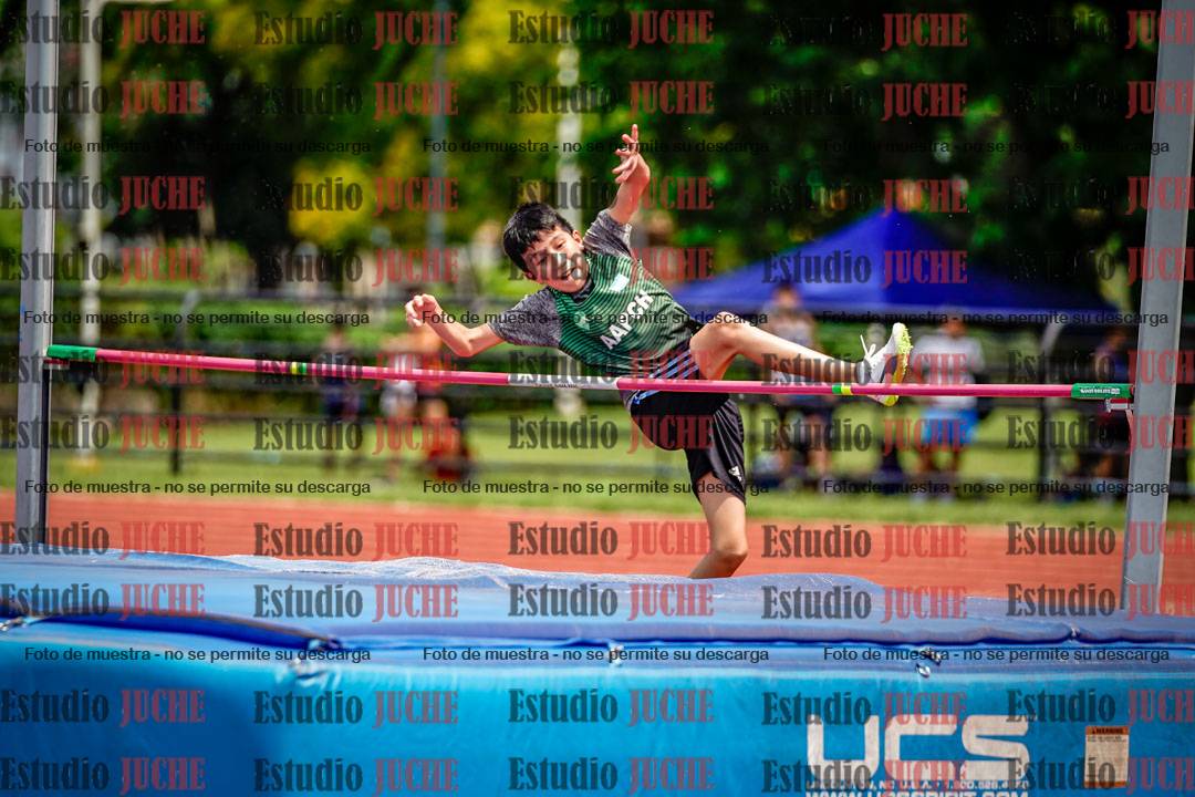 Fotos del salto en alto de varones