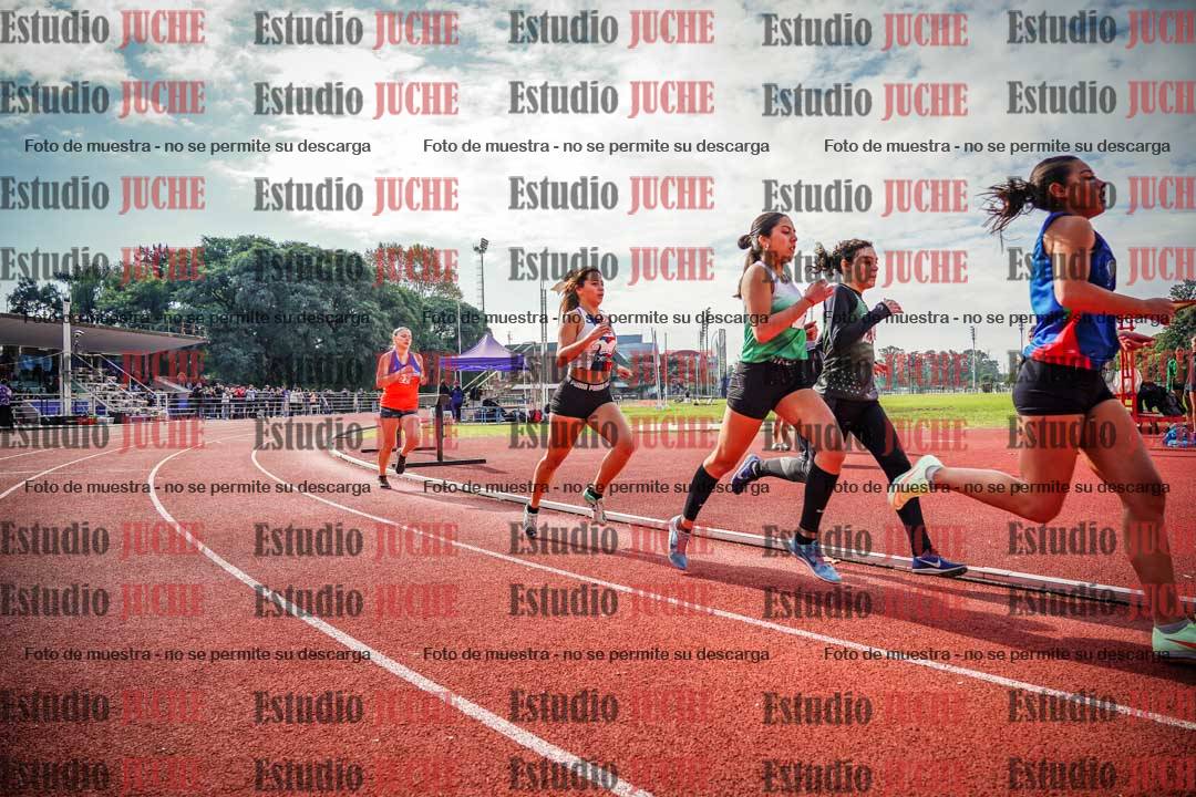 Fotos de los 800 m llanos de mujeres
