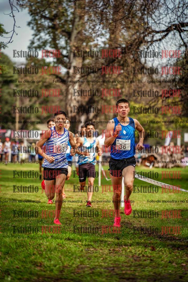 Fotos en el circuito