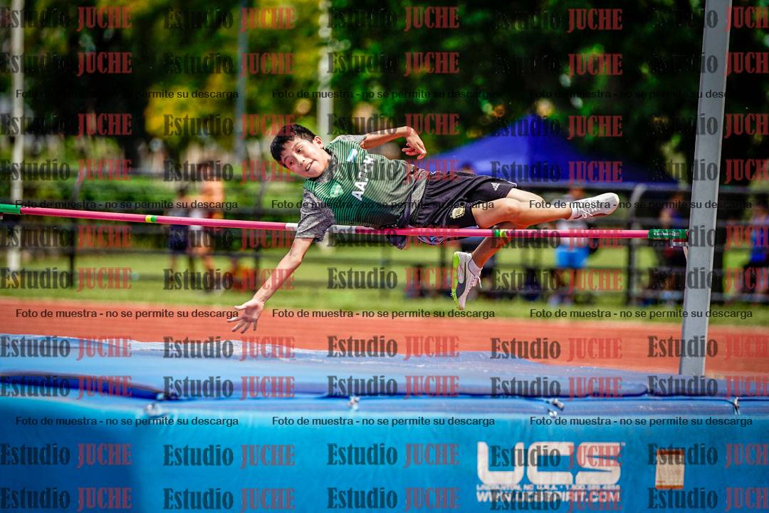 Fotos del salto en alto de varones
