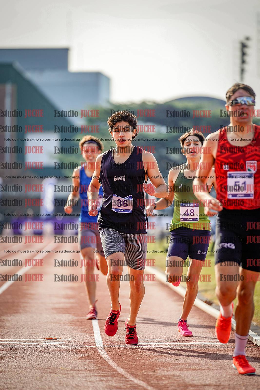 Fotos de los 800 m de varones