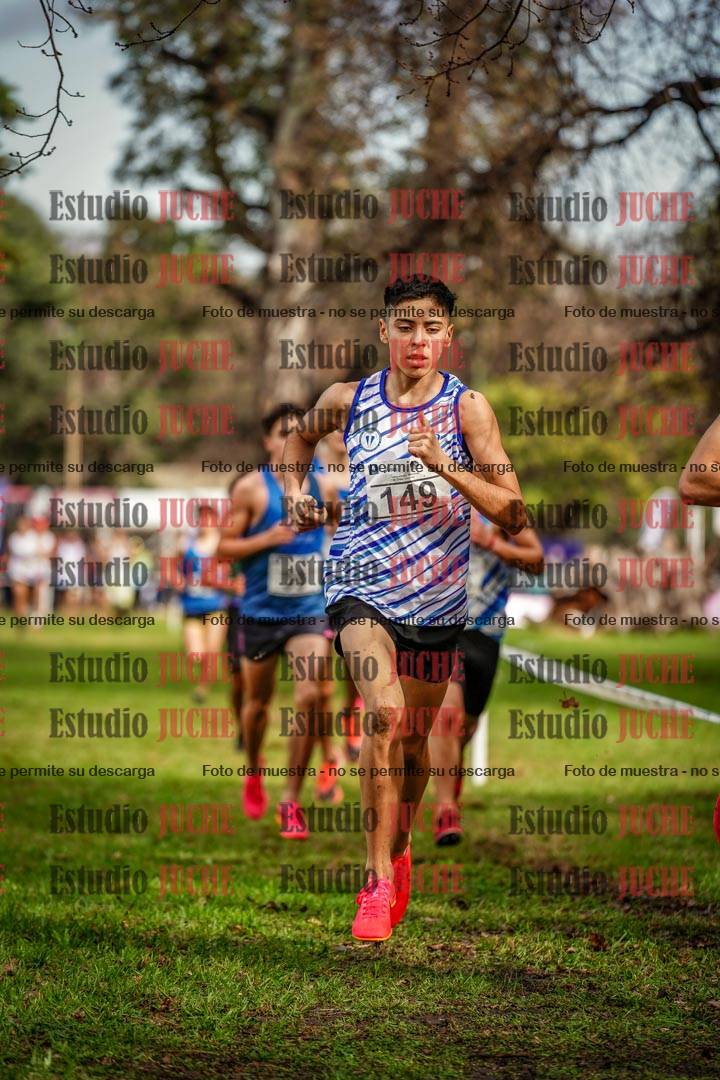 Fotos en el circuito