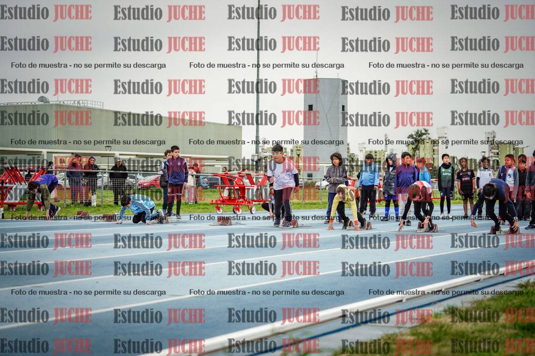 Fotos de los 50 m llanos de varones - U12