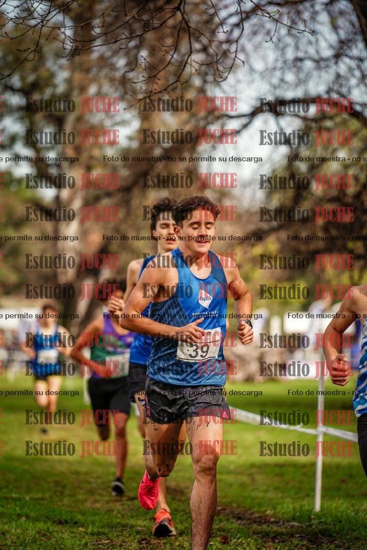Fotos en el circuito