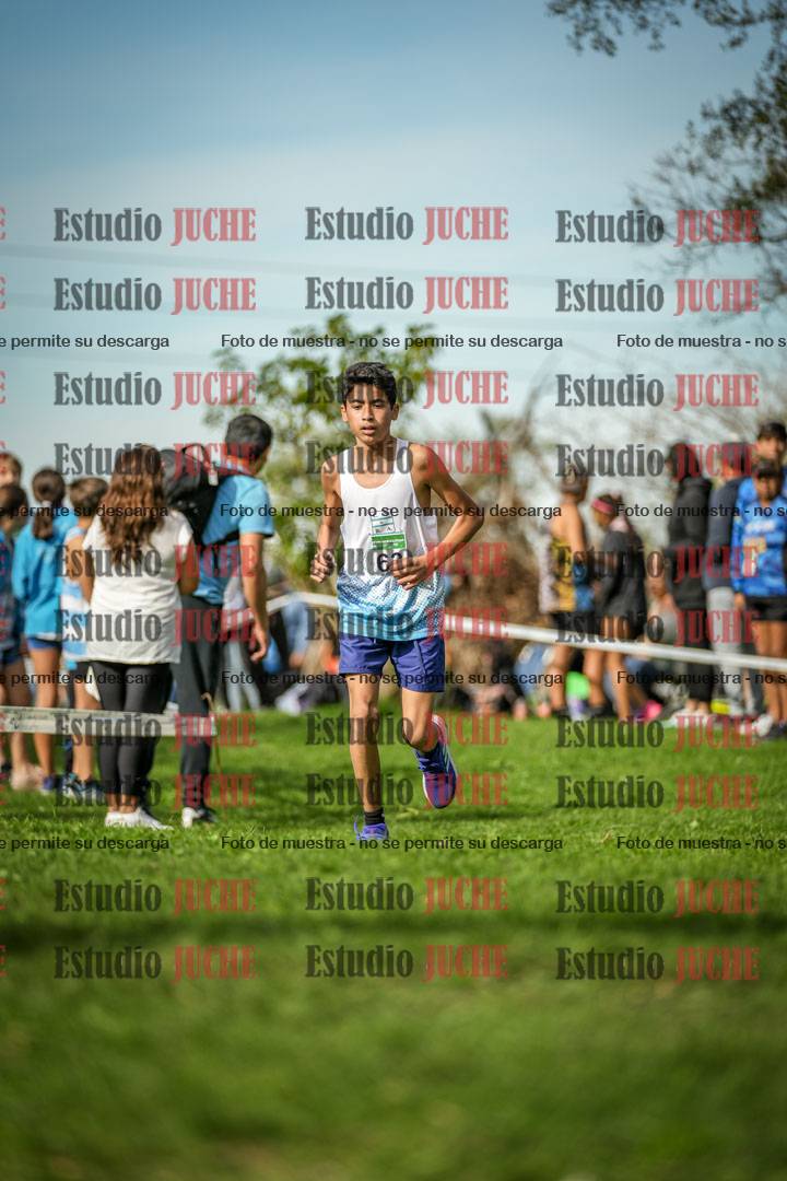 Fotos de la llegada del cross de 2000 m