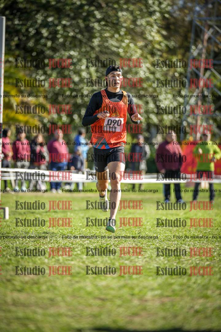 Fotos de la llegada del cross de 6000 m
