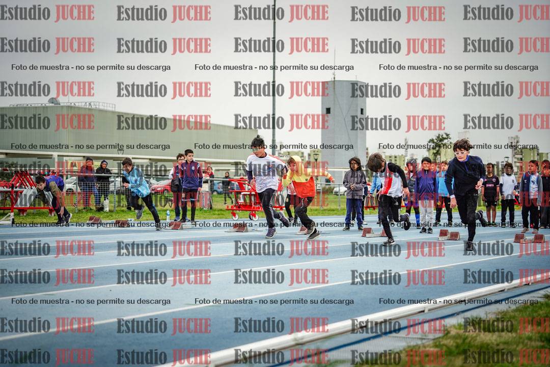 Fotos de los 50 m llanos de varones - U12