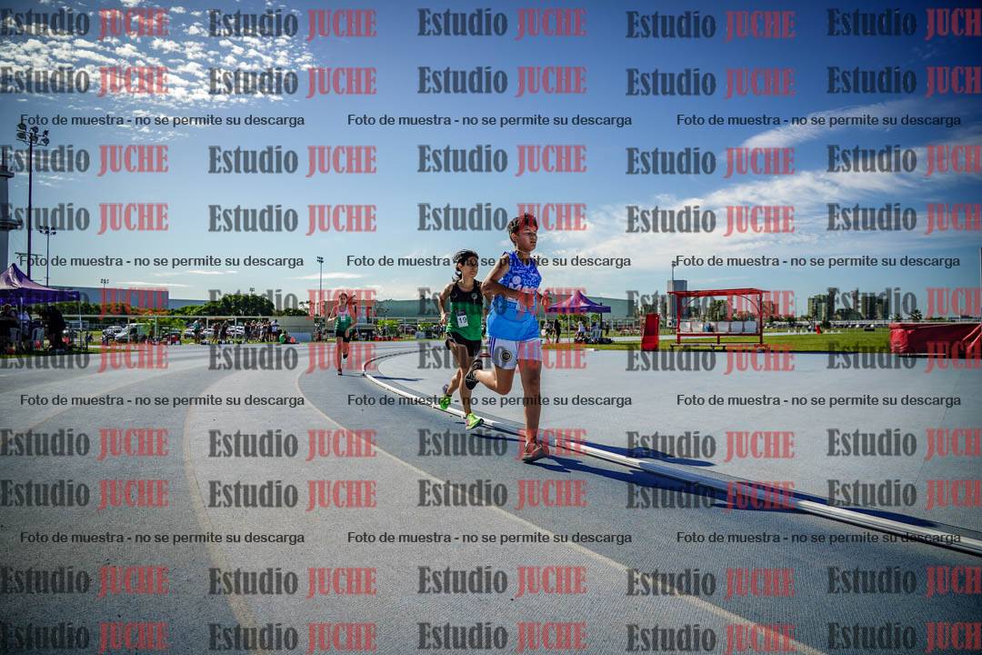 Fotos de los 1500 m llanos de mujeres