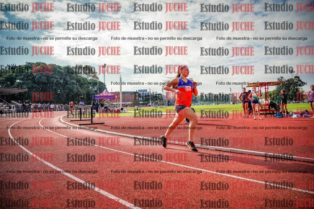 Fotos de los 800 m llanos de mujeres