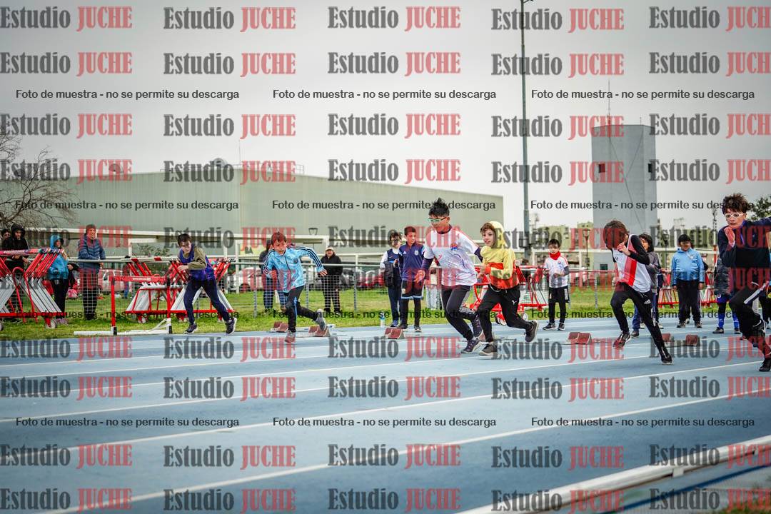 Fotos de los 50 m llanos de varones - U12
