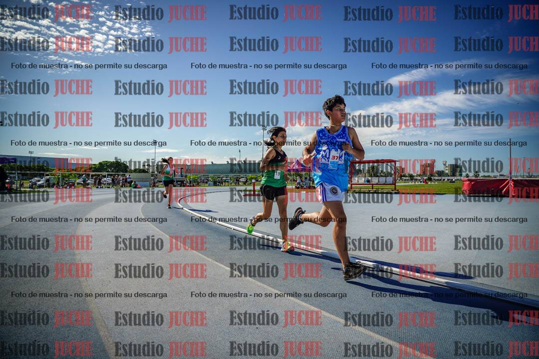 Fotos de los 1500 m llanos de mujeres