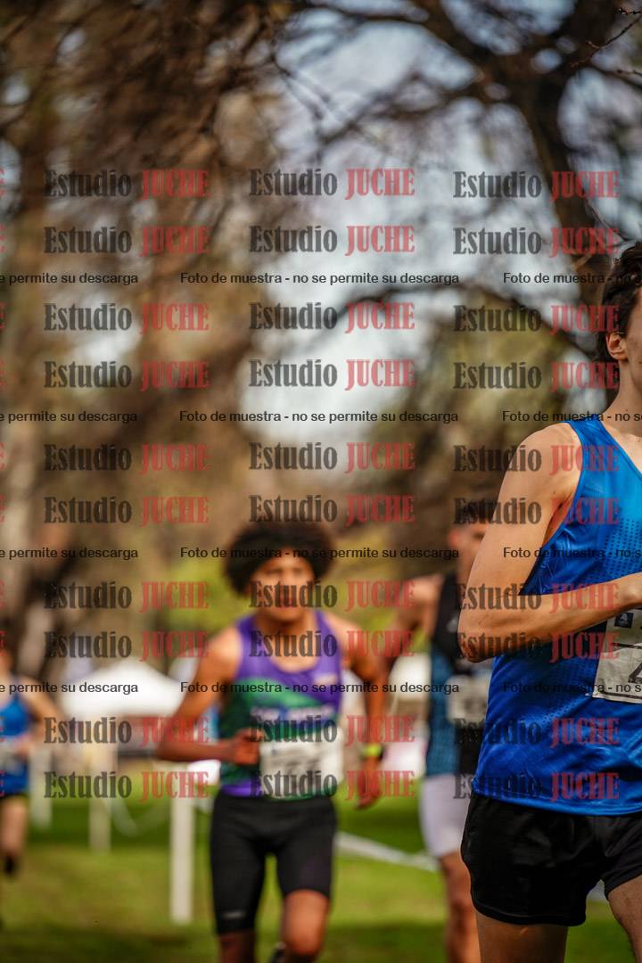 Fotos en el circuito